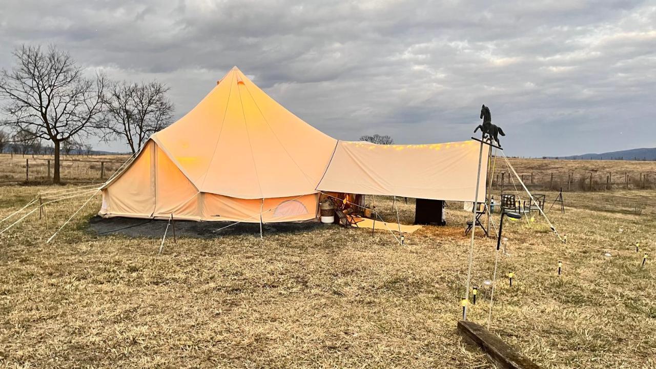 Shenandoah Valley Glamping - Amazing Views - Farm Edinburg Dış mekan fotoğraf