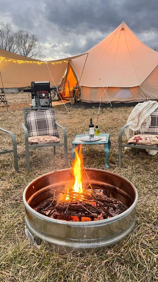 Shenandoah Valley Glamping - Amazing Views - Farm Edinburg Dış mekan fotoğraf