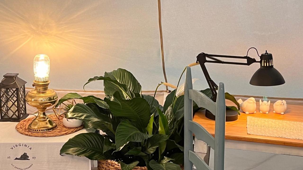 Shenandoah Valley Glamping - Amazing Views - Farm Edinburg Dış mekan fotoğraf