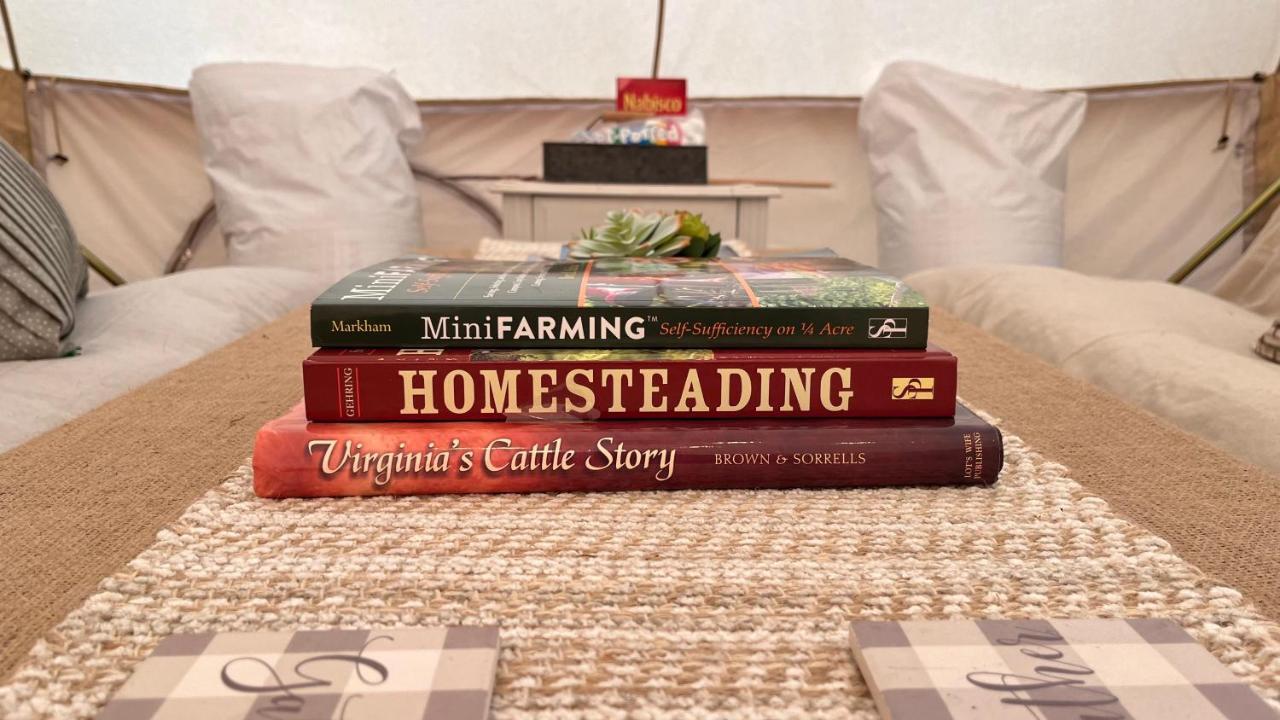Shenandoah Valley Glamping - Amazing Views - Farm Edinburg Dış mekan fotoğraf
