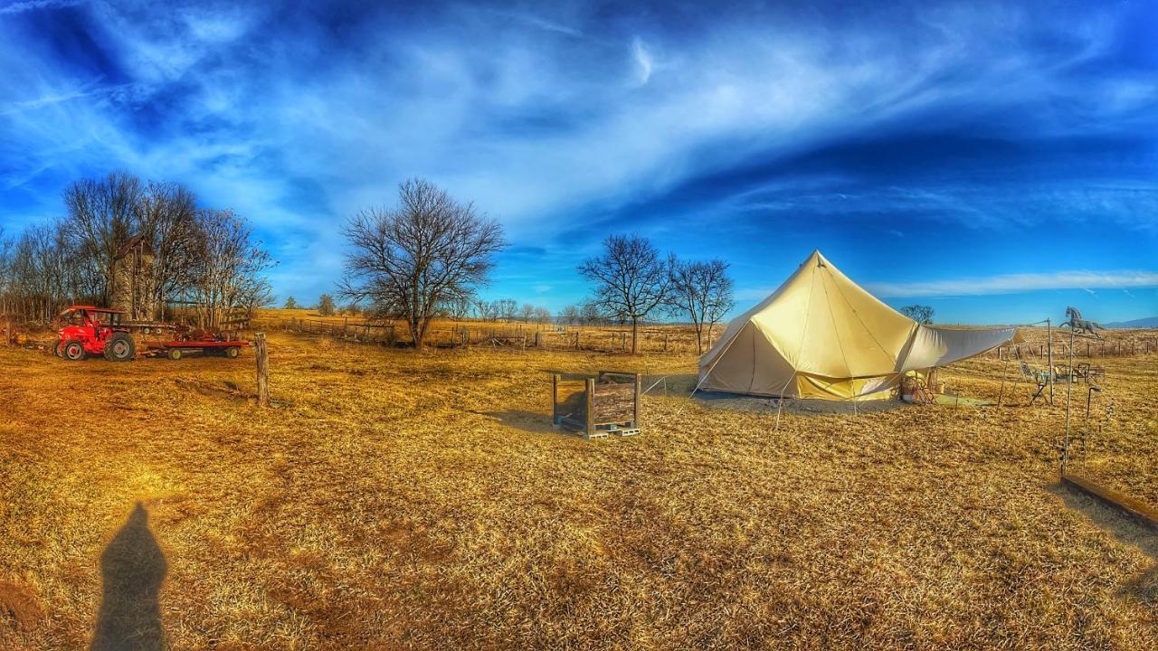 Shenandoah Valley Glamping - Amazing Views - Farm Edinburg Dış mekan fotoğraf