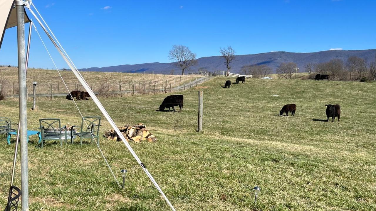 Shenandoah Valley Glamping - Amazing Views - Farm Edinburg Dış mekan fotoğraf